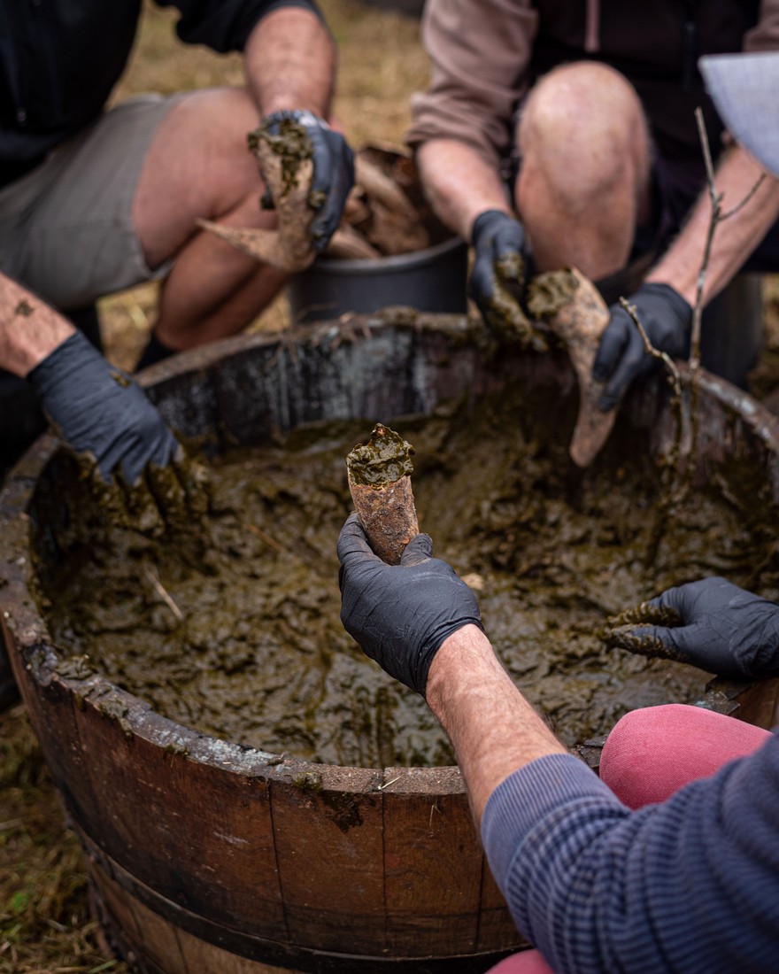 Bio-dynamic Filling the cow horns with manure