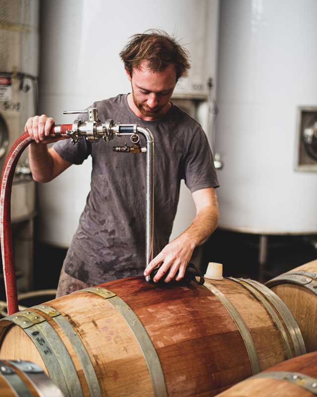 Transferring Cabernet from tank to fine oak barrels