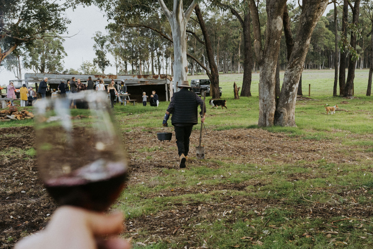 Our Winter Trio: Warming Reds with Character and Soul